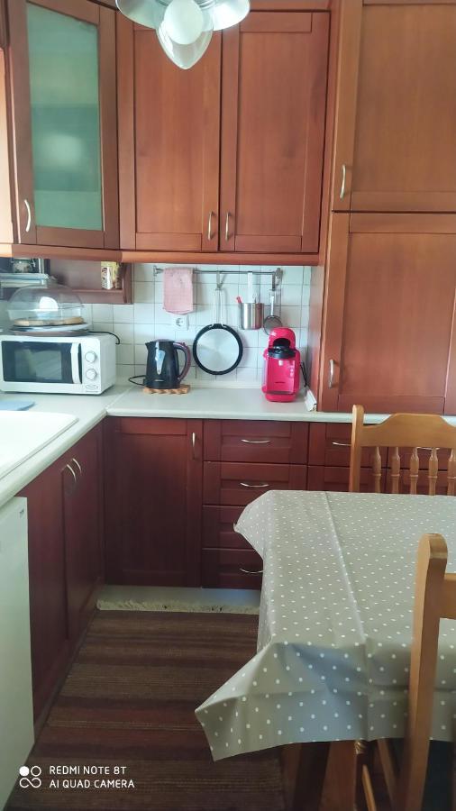 Casa Consta Olympus Villa Litóchoron Ngoại thất bức ảnh